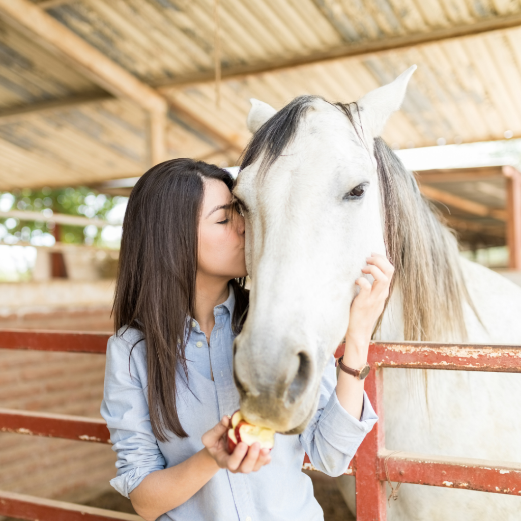 a person is petting a horse in a stable